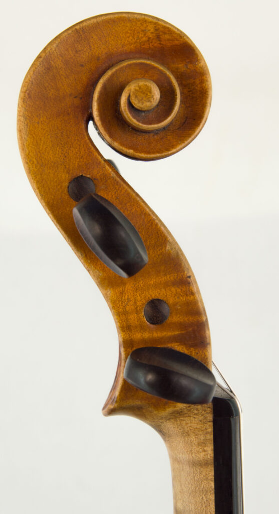 Catalogue 843 volute_57778