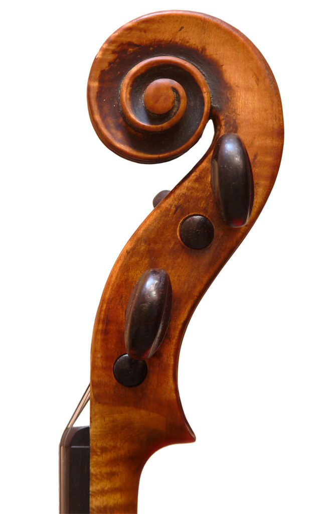violon-volute