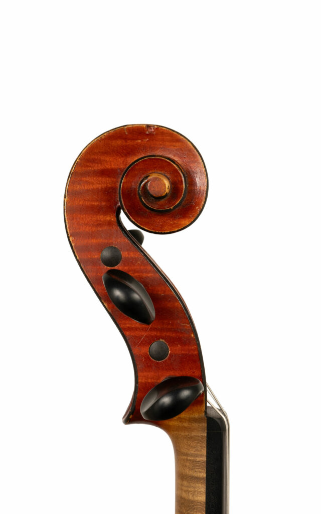 DV914-tete-cote1-WEB