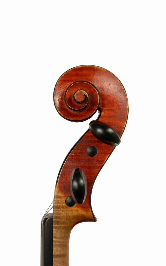 DV914-tete-cote2-WEB